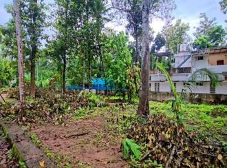 Residential Land for Sale in Pathanamthitta, Kulanada, Karimala, The Pentecostal Mission Church - Kulanada