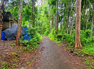 Residential Land for Sale in Pathanamthitta, Kulanada, Karimala, The Pentecostal Mission Church - Kulanada