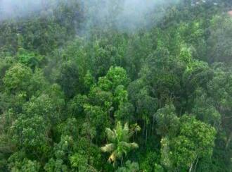 Commercial Land for SaleIdukki, Munnar, Ambazhachal