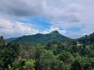 Commercial Land for Sale in Idukki, Munnar, Ambazhachal, Near SN Public school