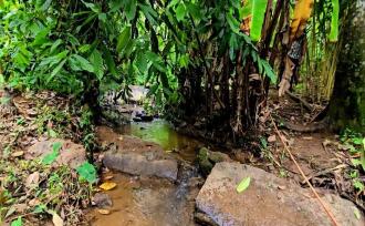Commercial Land for Sale in Idukki, Munnar, Anachal, Kunchithanny