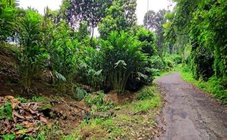 Commercial Land for Sale in Idukki, Munnar, Anachal, Kunchithanny