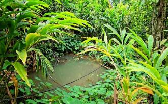 Commercial Land for Sale in Idukki, Munnar, Anachal, Kunchithanny