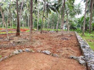 Residential Land for SaleKozhikode, Balussery, Balussery