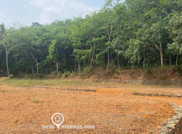 Beautiful land in prime location for multipurpose utility