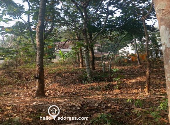 Plot for sale thadukkassery 9747577901