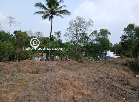 Another view of the land