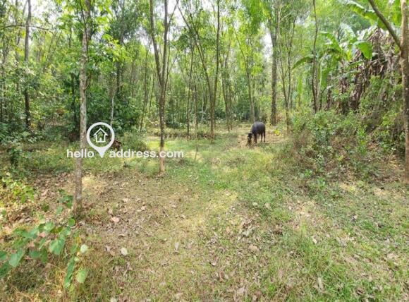 Residential Land for Sale