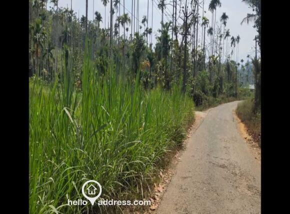 40 Cents Road Frontage Land for Sale – Near Karapuzh Dam, Wayanad