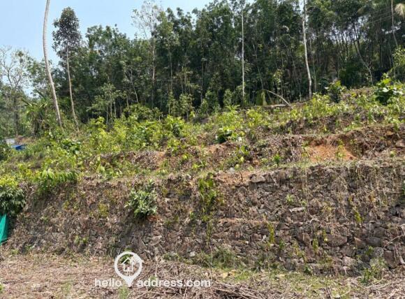 Residential Land for Sale