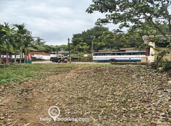 View of NH from plot