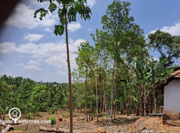 Residential Land for Sale