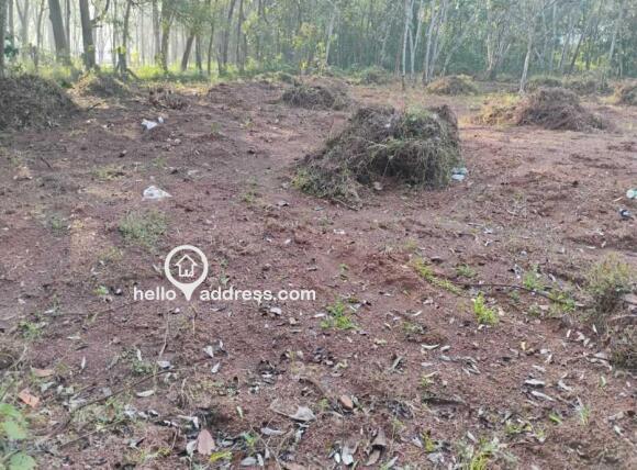 Residential Land for Sale