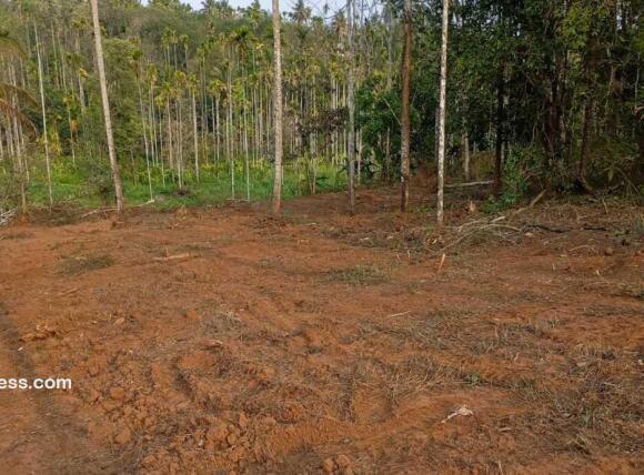 Residential Land for Sale