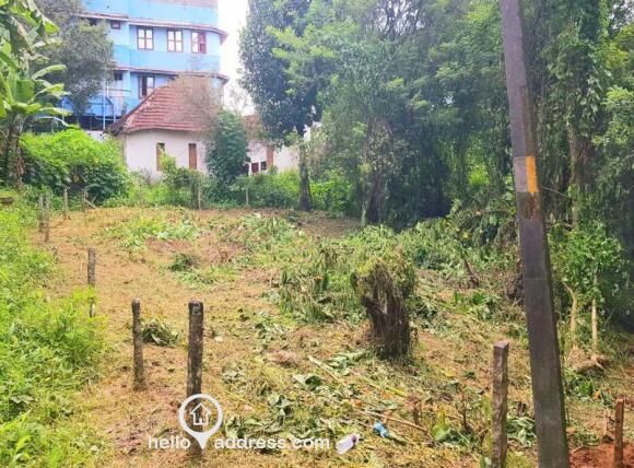 Commercial Land for Sale