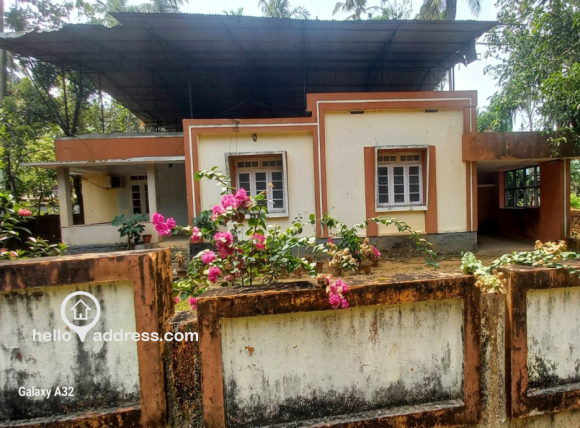 Front image of the house and plot from outside the plot.