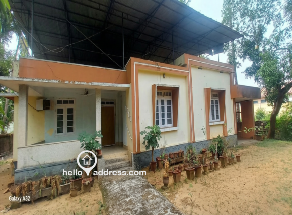 Image of plot front and left side