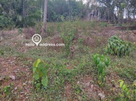 Commercial Land for Sale