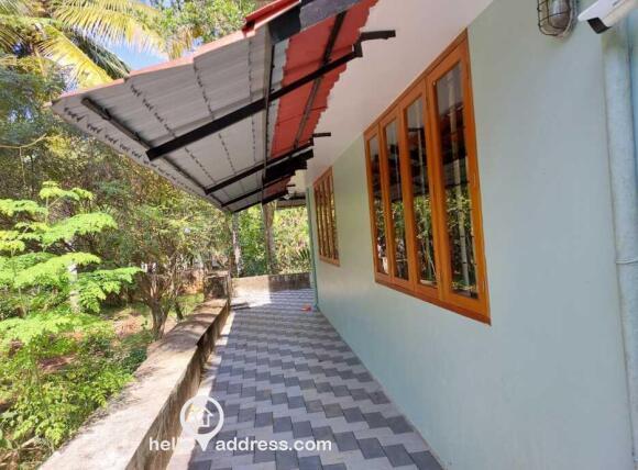 Backyard entrance and windows