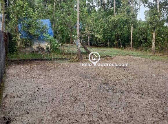 വാസയോഗ്യമായ ഭൂമി വില്പനയ്ക്ക് 