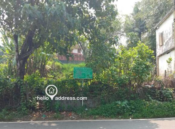 Commercial Land for Sale