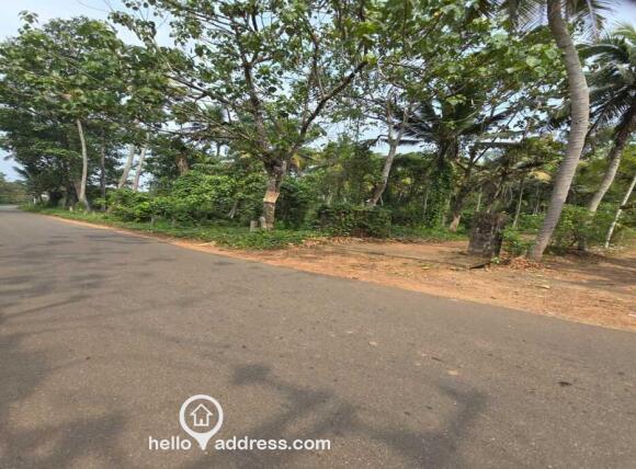 80 Meter graveled road access to the plot. The tarred road is a bus route and 1 km staright on this road leads to state highway changanasserry vazhoor road.