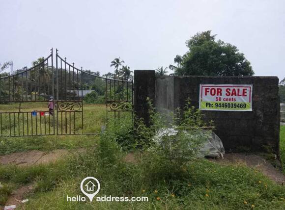 Commercial Land for Sale