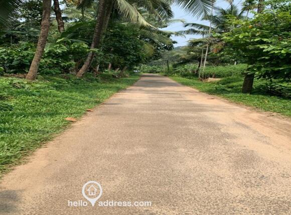 Agricultural Land for Sale