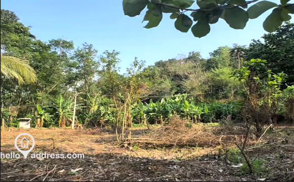 Residential Land for Sale