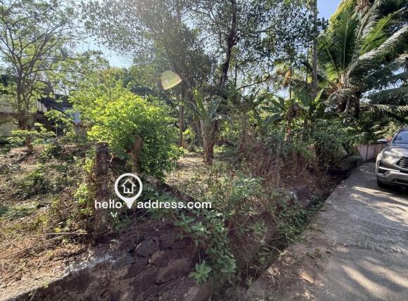 Broader view from South side