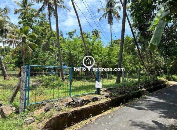 South east view from the road to the plot