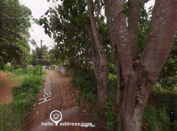 Land on the right side with trees. Front Panchayat road. We have rights for the side road also.