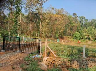 Residential Land for Sale in Kottayam, Pala, Ramapuram, രാമപുരം - ഐങ്കൊമ്പ്‎