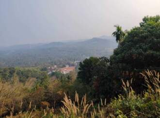 Residential Land for Sale in Kozhikode, Perambra, Perambra, Chermala