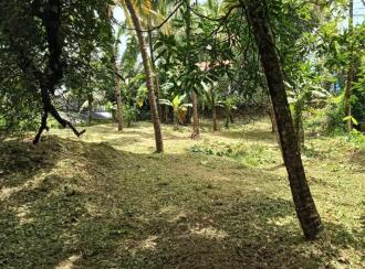 Residential Land for Sale in Thrissur, Thrissur, Puthur