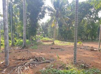 Residential Land for Sale in Pathanamthitta, Thiruvalla, Manakkachira, Manakkachira, Kaviyoor
