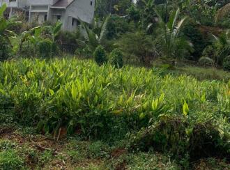 Residential Land for Sale in Ernakulam, Koothattukulam, Koothattukulam, ksrtc busstand
