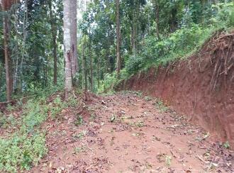 Residential Land for Sale in Idukki, Nedumkandam, Thokkupalam