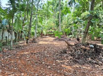 Residential Land for Sale in Ernakulam, Paravur, Elenthikkara, Anchumav -Malavana