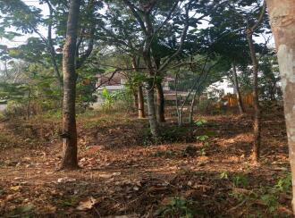 Residential Land for Sale in Palakkad, Ottappalam, Thadukkassery, Thadukkassery