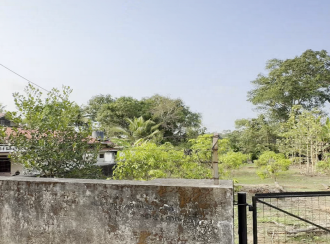 Residential Land for Sale in Kottayam, Manarcadu, Manarcadu, kaniyamkunnu