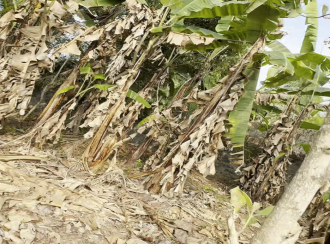 Residential Land for Sale in Kottayam, Manarcadu, Manarcadu, kaniyamkunnu