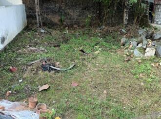 Residential Land for Sale in Ernakulam, Aluva, Kadungalloor, Alangad road