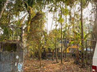 Residential Land for Sale in Trivandrum, Thiruvananthapuram, Kalady, KALADY SOUTH ROAD