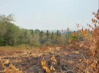 Residential Land for Sale in Trivandrum, Vattappara, Kuttiyani