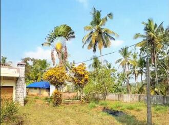Residential Land for Sale in Trivandrum, Vattappara, Kuttiyani