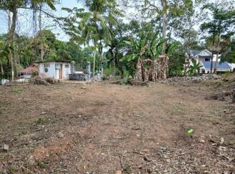 വാസയോഗ്യമായ ഭൂമി വില്പനയ്ക്ക് Pathanamthitta, Kozhencherry, Aranmula, Aranmu;la -Pandalam Bus route. At Nalkalikkal