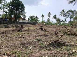 വാസയോഗ്യമായ ഭൂമി വില്പനയ്ക്ക് Pathanamthitta, Kozhencherry, Aranmula, Aranmu;la -Pandalam Bus route. At Nalkalikkal
