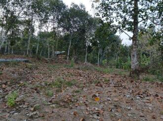 വാസയോഗ്യമായ ഭൂമി വില്പനയ്ക്ക് Pathanamthitta, Kozhencherry, Aranmula, Aranmu;la -Pandalam Bus route. At Nalkalikkal