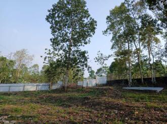 വാസയോഗ്യമായ ഭൂമി വില്പനയ്ക്ക് Pathanamthitta, Kozhencherry, Aranmula, Aranmu;la -Pandalam Bus route. At Nalkalikkal